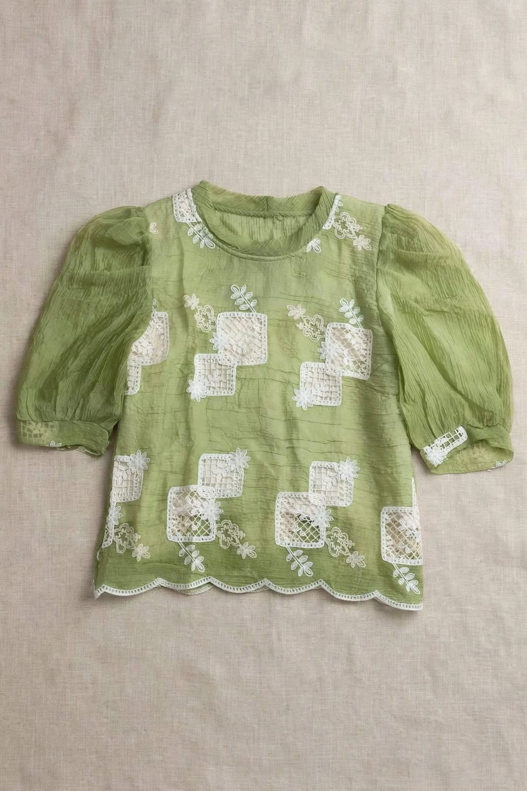 Light Green Embroidered Puff Sleeve Short Top🧡