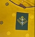 Ladies Top - 20% OFF